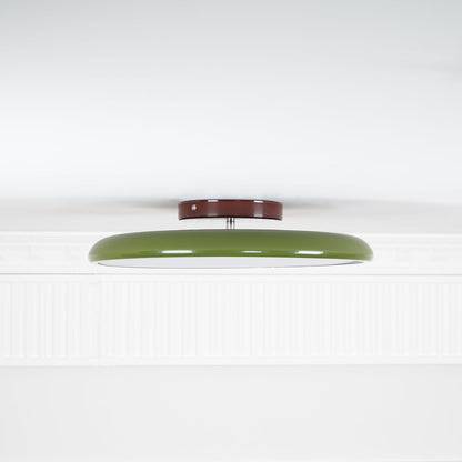 Drift Adjustable Ceiling Lamp