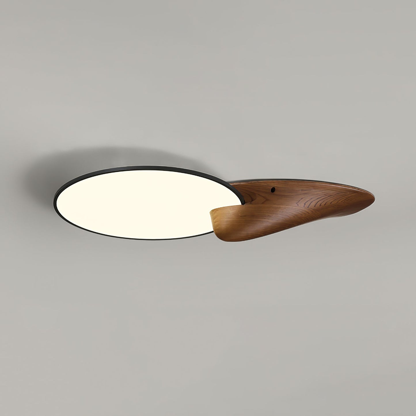 Lone Peak Ceiling Lamp