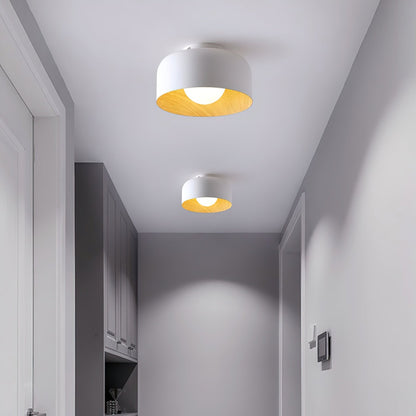 Lumosphere Ceiling Light