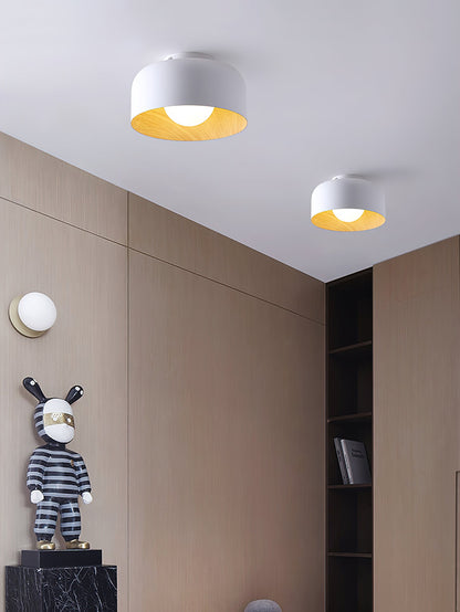 Lumosphere Ceiling Light