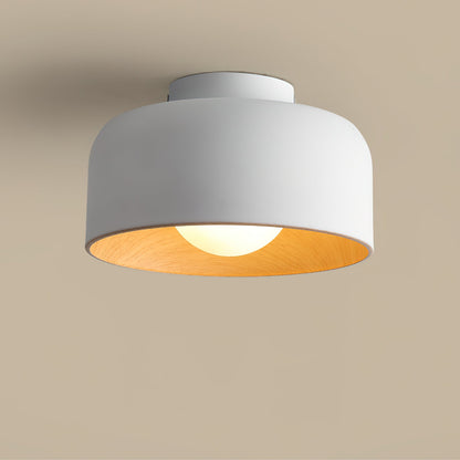 Lumosphere Ceiling Light