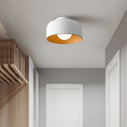 Lumosphere Ceiling Light