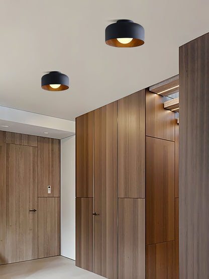 Lumosphere Ceiling Light