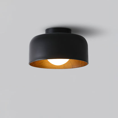 Lumosphere Ceiling Light