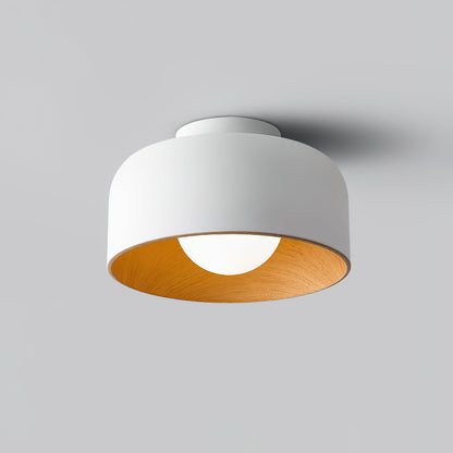 Lumosphere Ceiling Light