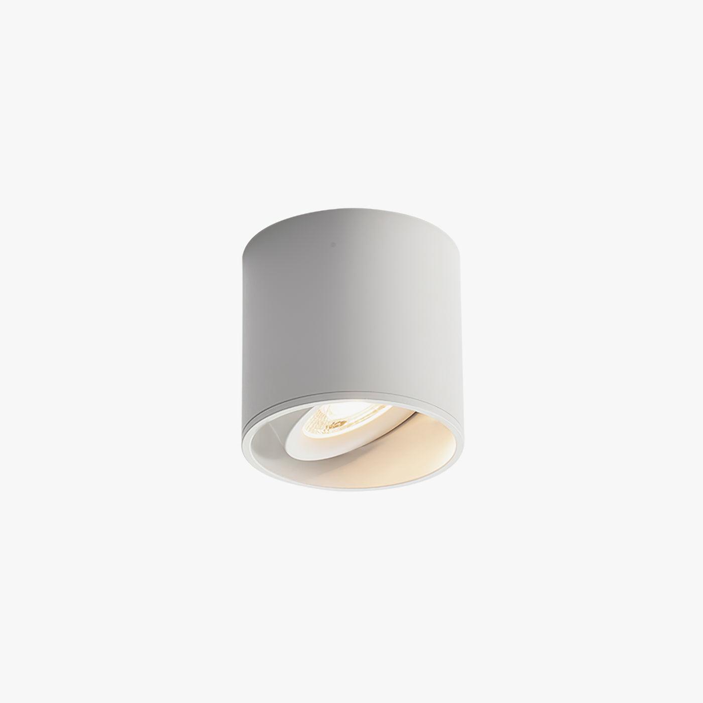 Modupoint Ceiling Light