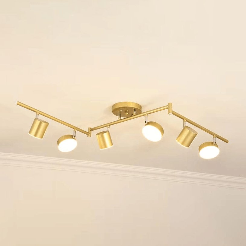 Track Light Ceiling Light