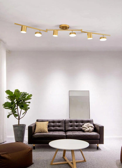 Track Light Ceiling Light