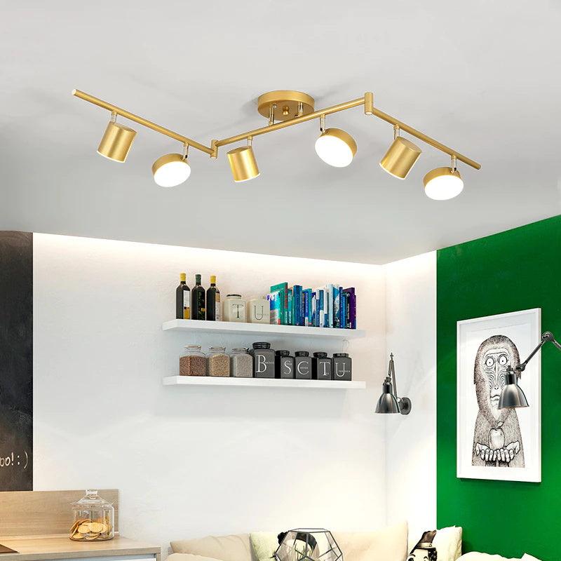 Track Light Ceiling Light