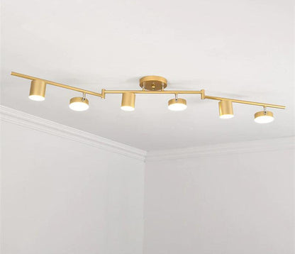 Track Light Ceiling Light