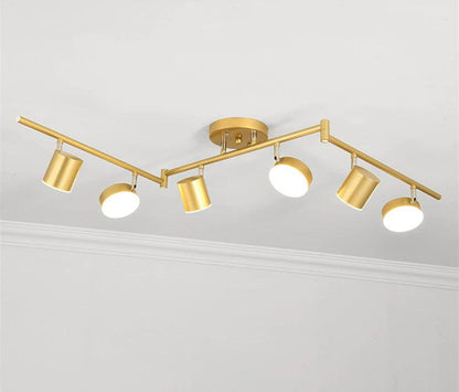 Track Light Ceiling Light