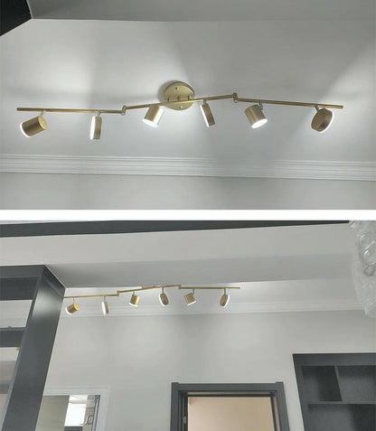 Track Light Ceiling Light