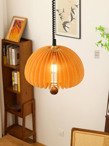 Pumpkin Adjustable Pendant Light