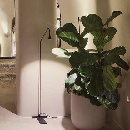 Pureform Floor Lamp