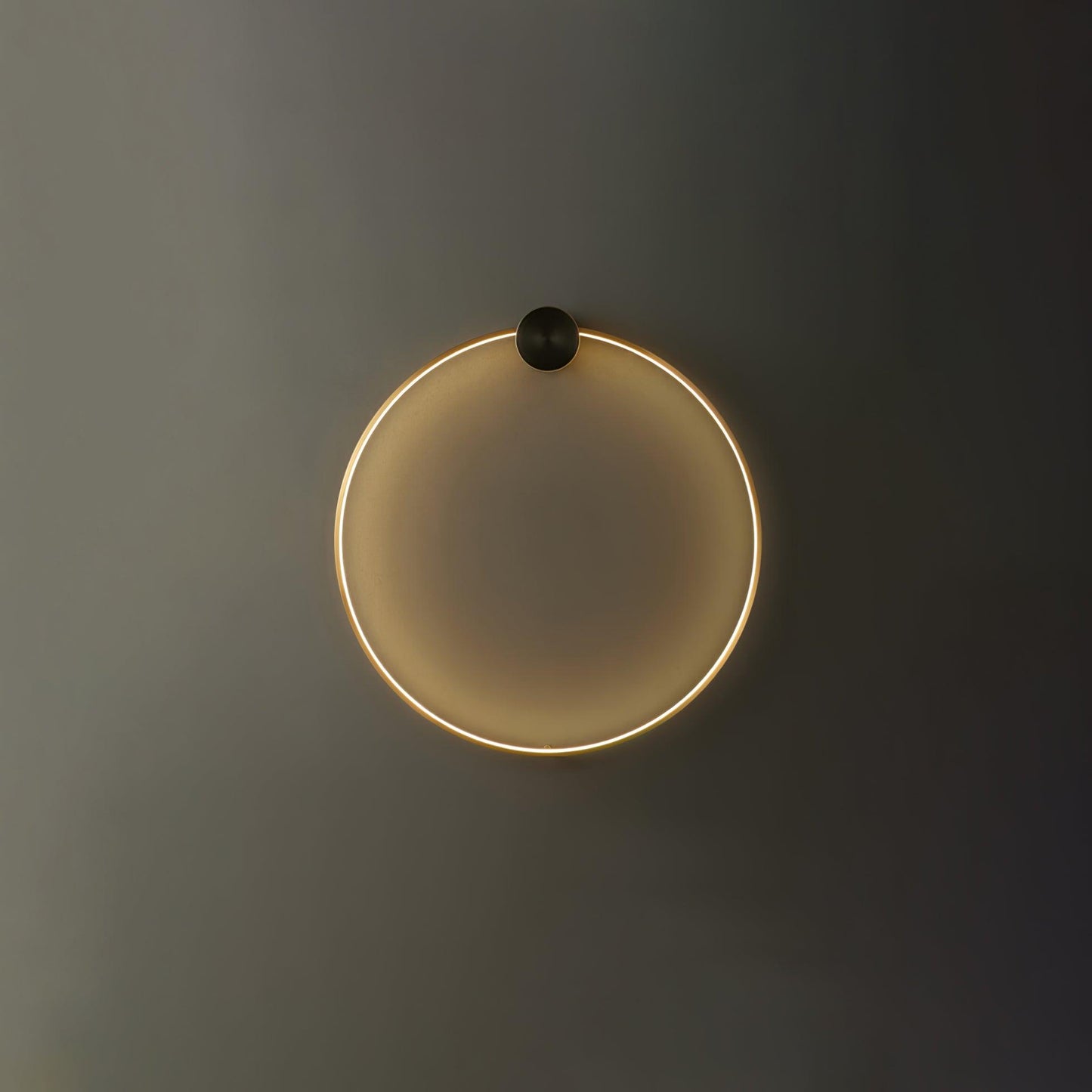 Ring Shaped LED Wall Light