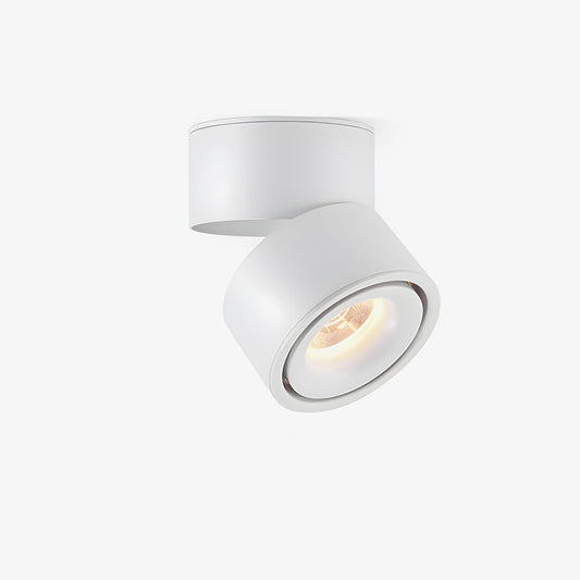 Rotatable Spotlight Ceiling Light