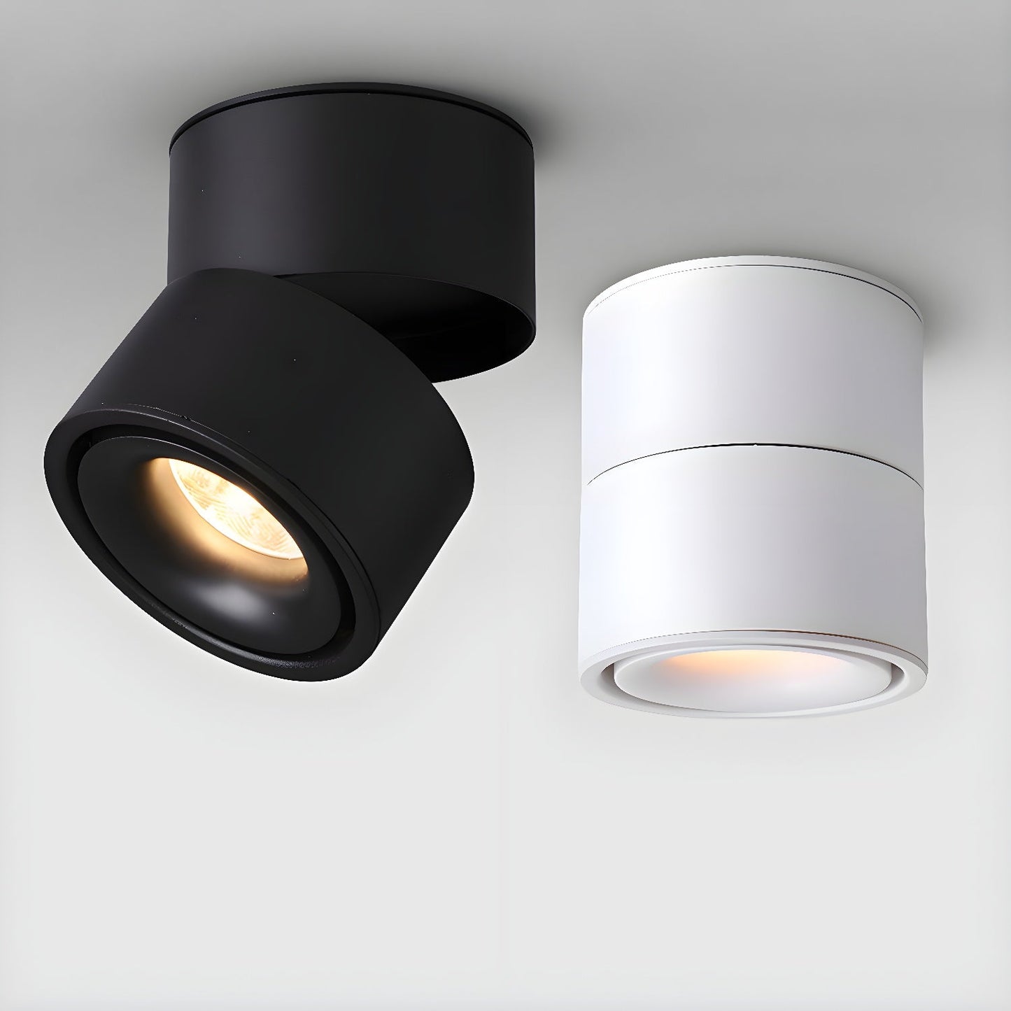 Rotatable Spotlight Ceiling Light