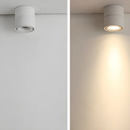 Rotatable Spotlight Ceiling Light