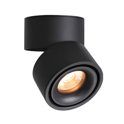 Rotatable Spotlight Ceiling Light