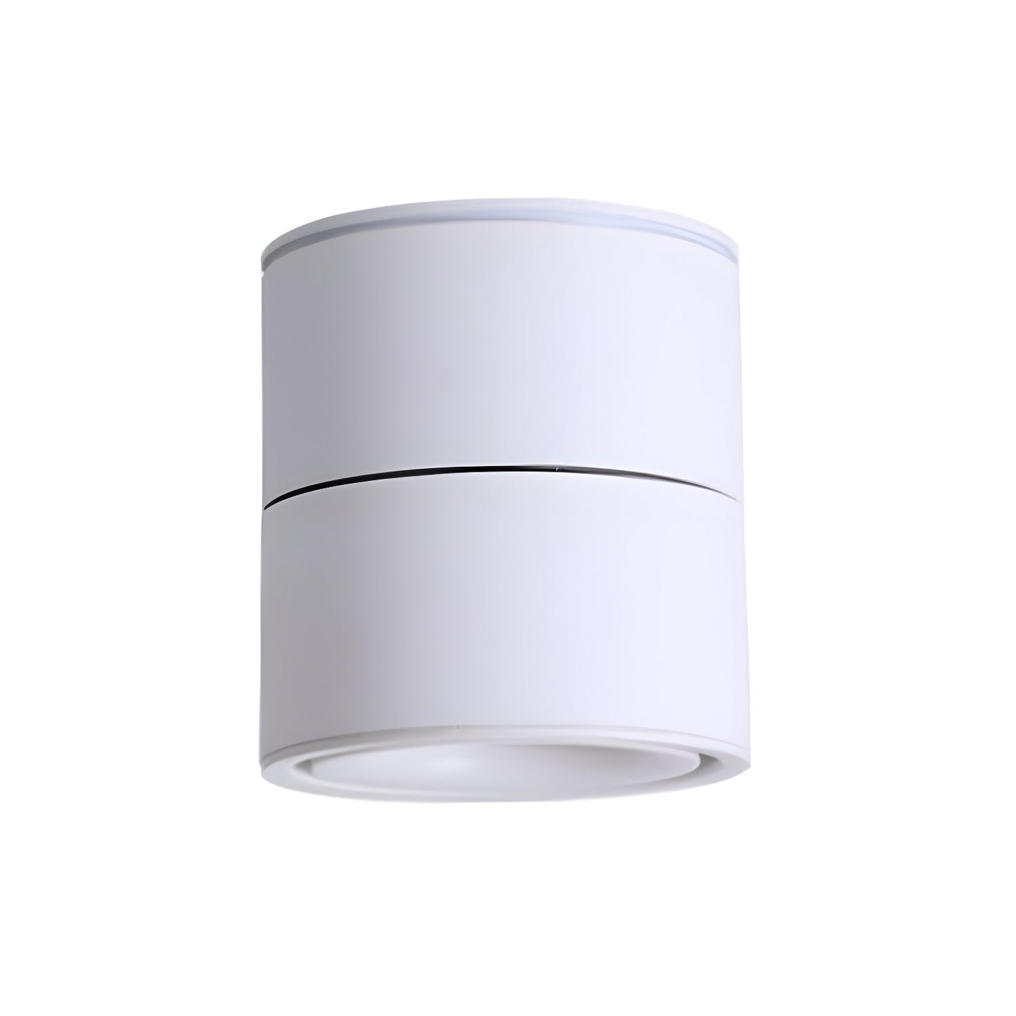 Rotatable Spotlight Ceiling Light