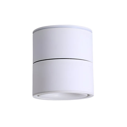 Rotatable Spotlight Ceiling Light