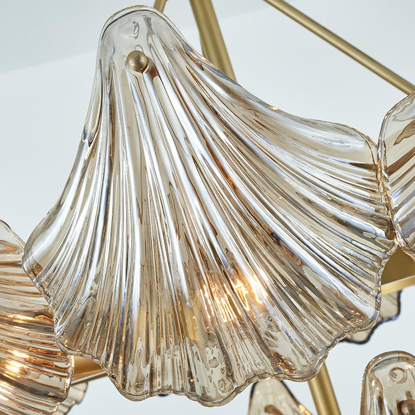 Shell Crystal Chandelier