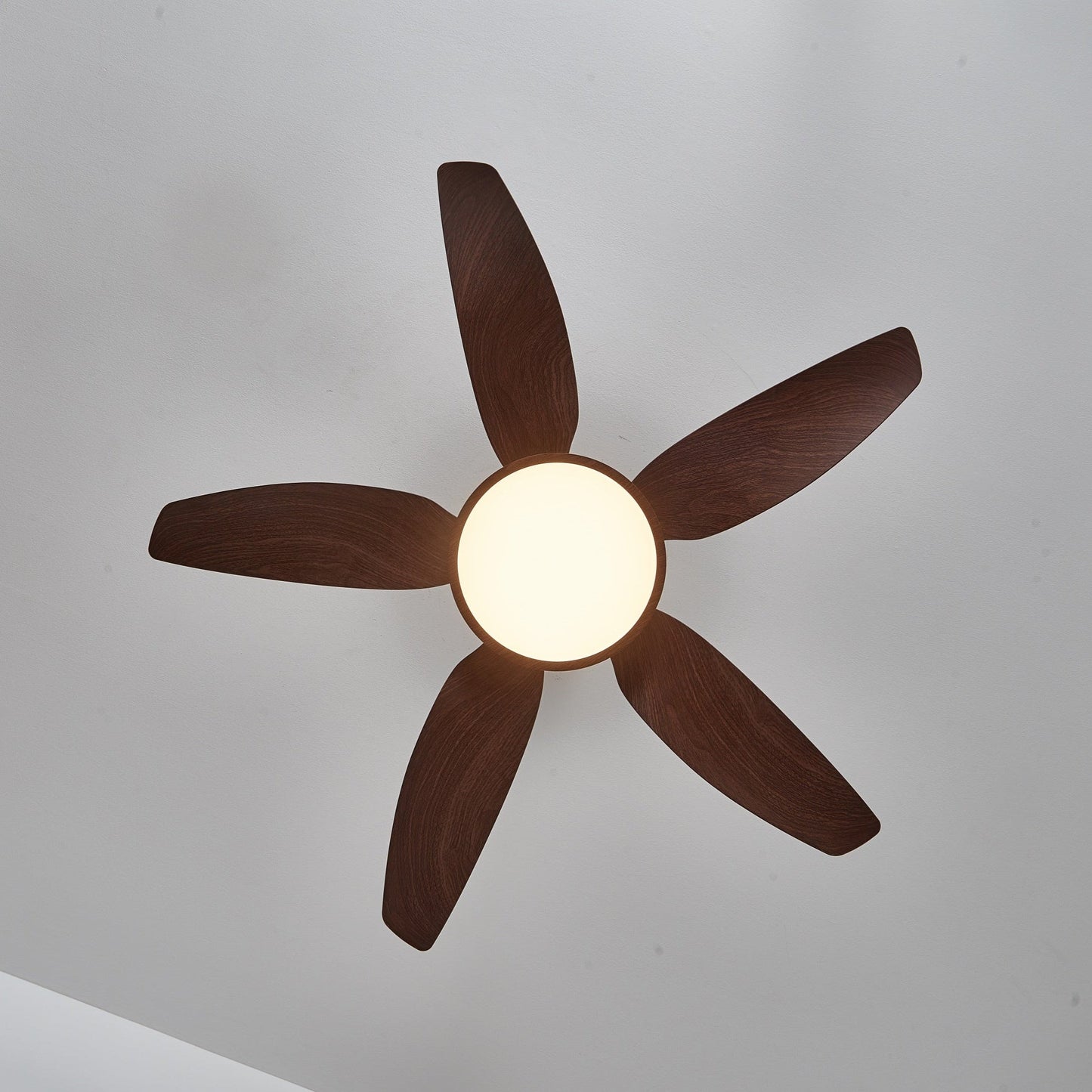 Sirocco Breeze Ceiling Fan Light