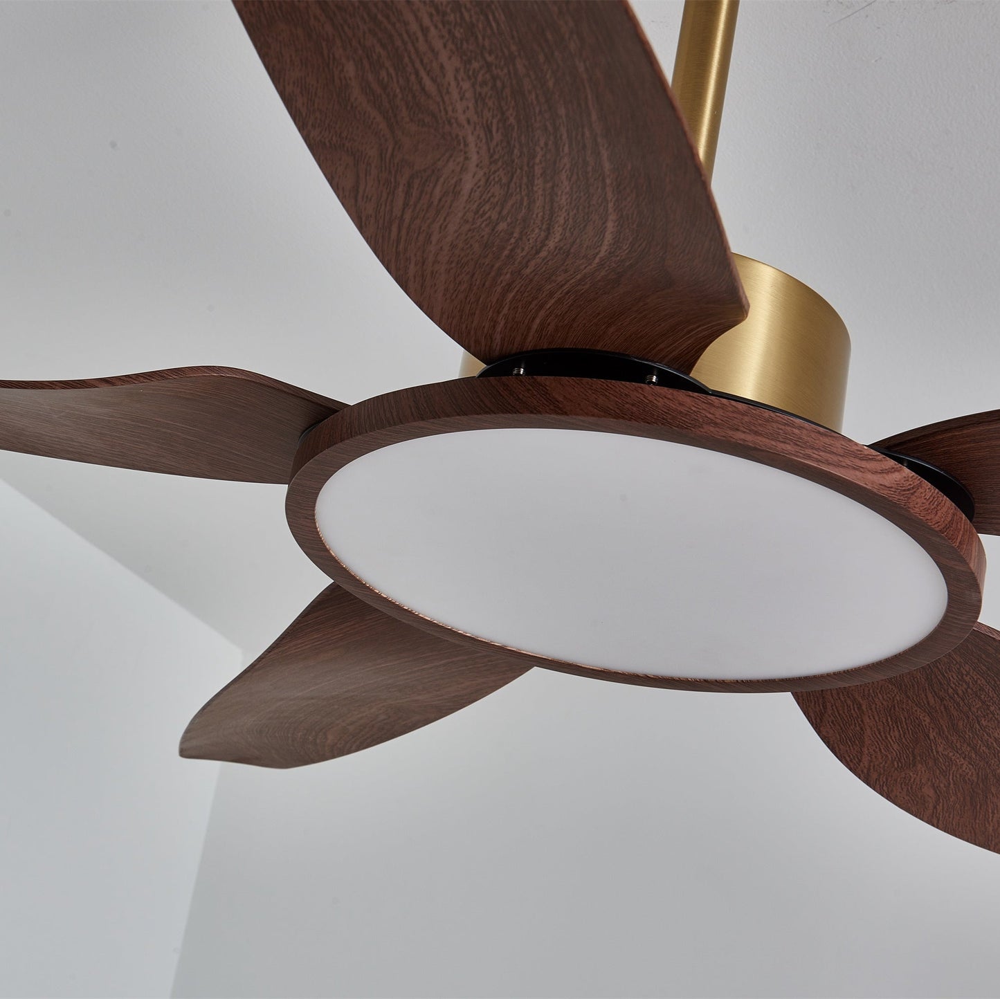 Sirocco Breeze Ceiling Fan Light