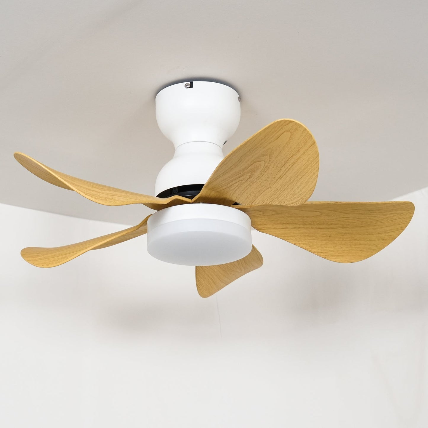 Small Arilia 29" Ceiling Fan Light