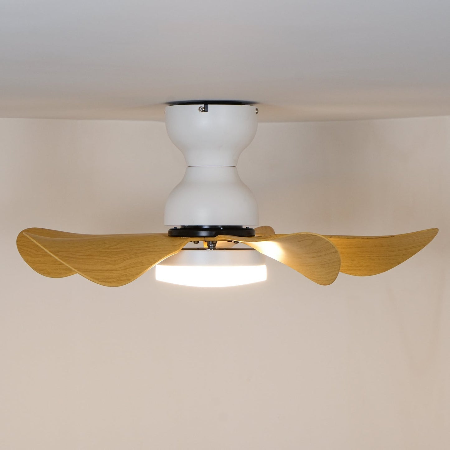 Small Arilia 29" Ceiling Fan Light