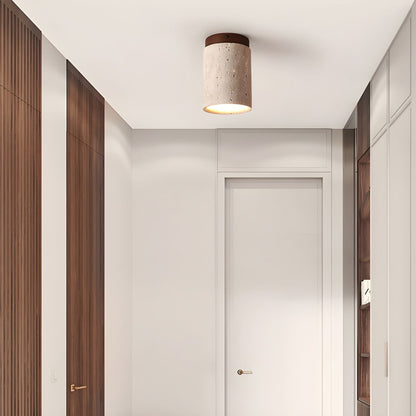 Terra Cylinder Ceiling Light