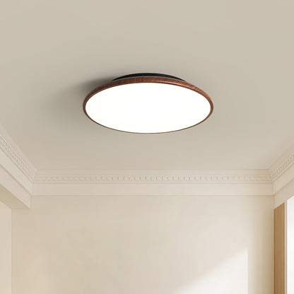 Thin Geometry Shape Ceiling Lamp