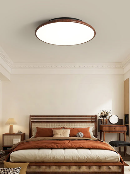 Thin Geometry Shape Ceiling Lamp