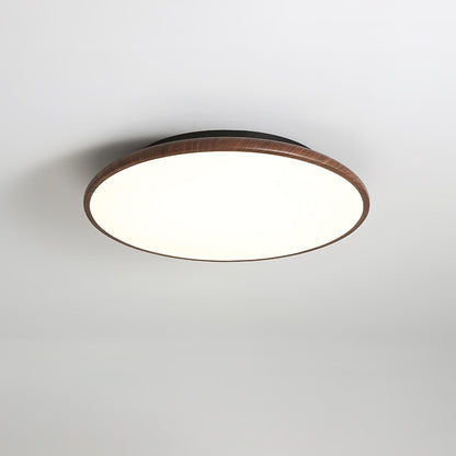 Thin Geometry Shape Ceiling Lamp