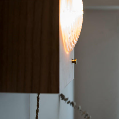 مصباح حائط للكاميرا خمر