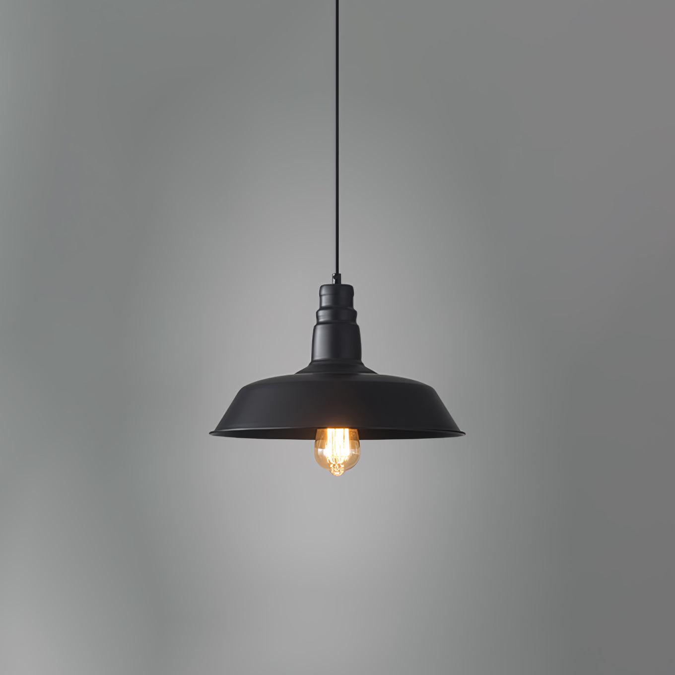 Vintage Industrial Collections Pendant Light