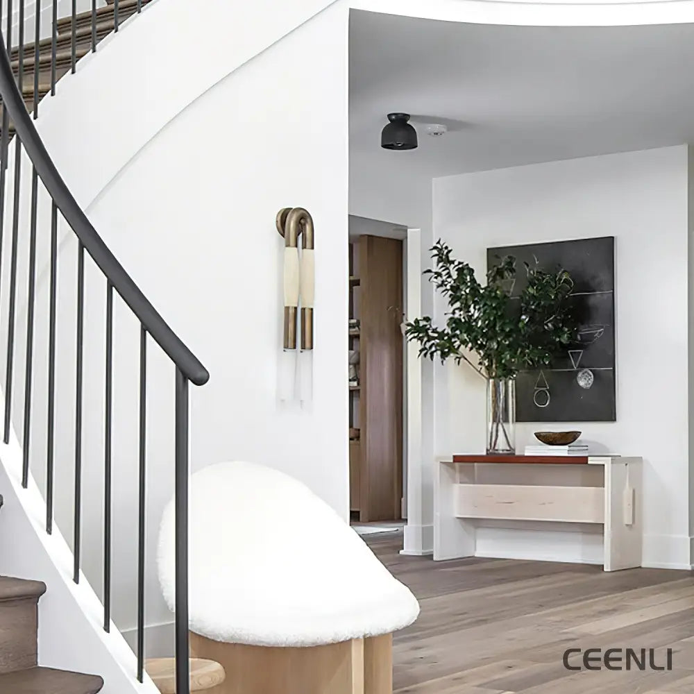 Horsehair Wall Lamp Wall lamp