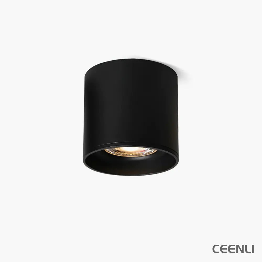 Modupoint Ceiling Light Ceiling lamp