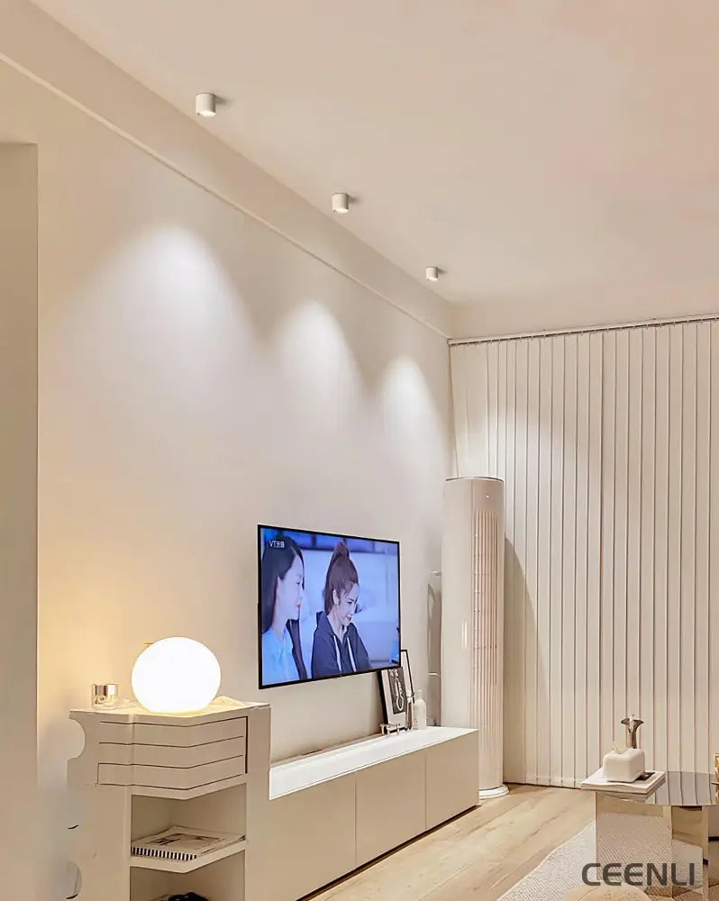 Modupoint Ceiling Light Ceiling lamp