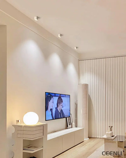 Modupoint Ceiling Light Ceiling lamp