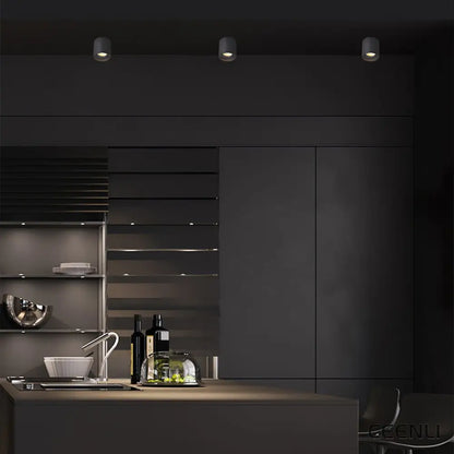 Modupoint Ceiling Light Ceiling lamp