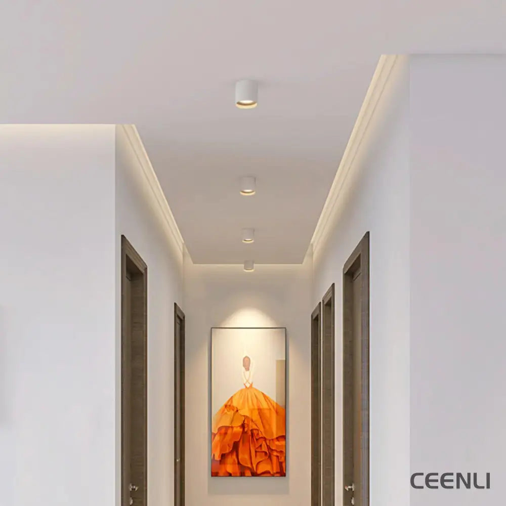 Modupoint Ceiling Light Ceiling lamp
