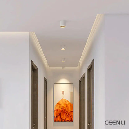 Modupoint Ceiling Light Ceiling lamp