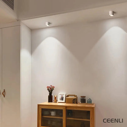 Modupoint Ceiling Light Ceiling lamp