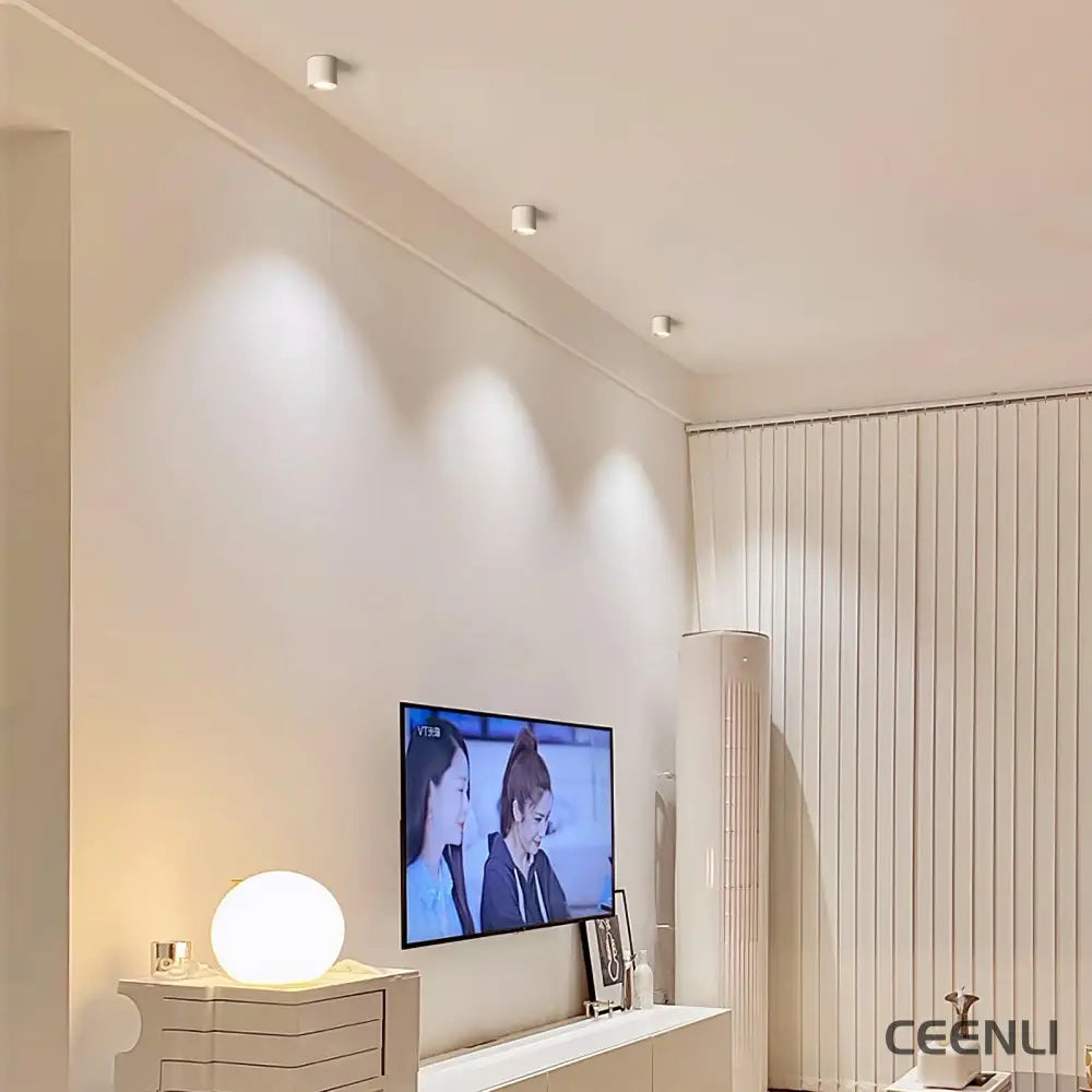 Modupoint Ceiling Light Ceiling lamp